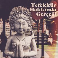 Aydınlanmış Bakış Açısı - Rahatlatıcı Müzik Terapi