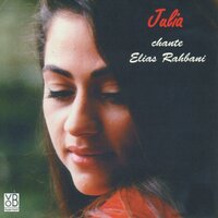 Viens dans ma vie - Julia Boutros