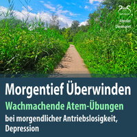 Morgen Übung im Sitzen: Raus aus der Dunkelheit, Rein ins Tageslicht mit Atmung, weibl. Stimme, Teil 3 - Franziska Diesmann & Torsten Abrolat & SyncSouls