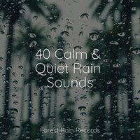 Calming Ocean - Academia de Relaxamento e Meditação & Anxiety Relief & Entspannungsmusik Oase