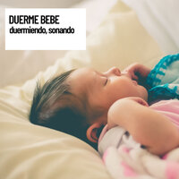 Serenity Zone - Musica relajante & Relaxation Guru & Sonido Del Bosque y Naturaleza