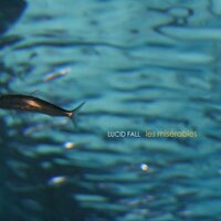 Mackerel - Lucid Fall