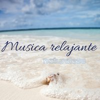 Musica de fondo - Relajacion Conjunto