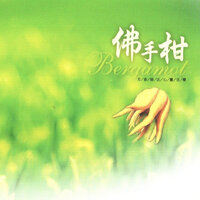 清淨佛手柑 - 妙蓮華