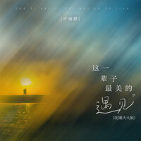 这一辈子最美的遇见 - 许丽静 & 豪大大