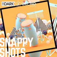 Groovy Toys - 101 Dark Orchid Music