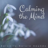 Calm Stress - Spa Center