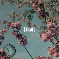 Autumn Leaves - Brunch Collect & Naif