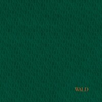 Wald Outro - Dominik Eulberg & Hannes Kretzer