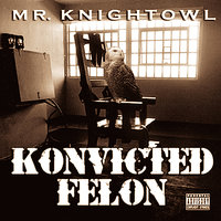 Stop Yapping - Mr. Knightowl