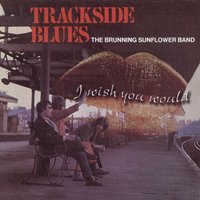 All Right With Me - The Brunning Sunflower Blues Band