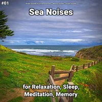 Sea Noises Part 19 - Ocean Sounds by Viviana Fernsby & Nature Sounds & Ocean Sounds
