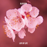 Blossom - LoFi of Life