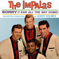 Sorry (I Ran All the Way Home) - The Impalas