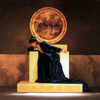 Once You Had Gold - Enya