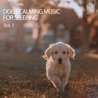 Get At Me Dog - Dog Music & Sounds Dogs Love & Dog Sleep Academy