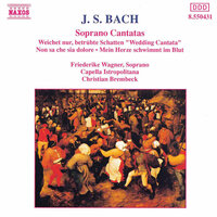 Weichet nur, betrübte Schatten, BWV 202 "Wedding Cantata": I. Weichet nur, betrübte Schatten - Friederike Wagner & Vera Raskova & Jozef Cejka & Capella Istropolitana & Christian Brembeck & Johann Sebastian Bach
