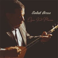 Zoruma Gider - Ozan Kul Mercan