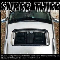 6 Months Blind - Super Thief