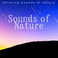 Soothing Memories - Nature Sounds Associated Artists