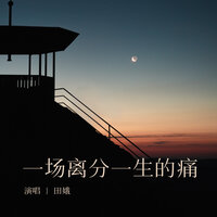 一场离分一生的痛 - 田娥