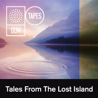 Questionning The Sky - Gum Tapes