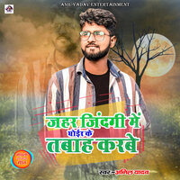 Zehar Zindagi Mein Goier Ke Tabah Karbe - anil yadav