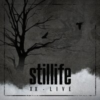 Remember Me - Stillife