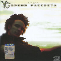 Зонтики - YG