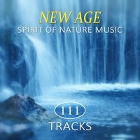Asian Flute Music Oasis - Healing Meditation Zone