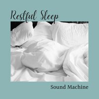 Deep Sleep Bgm - Sleep Music Piano Relaxation Masters