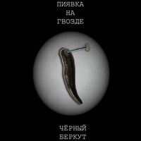 Беркут - Чёрный Беркут