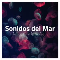 Nuevo Amanecer - Música para Relajarse Profundamente