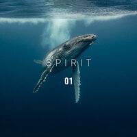 Waterfall - Nature Sounds & Nature Recordings