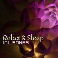 Soft Instrumental Music - Pure Serenity Spa Music & Massage Collective Garden & Zen Relaxation Meditation