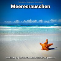 Versonnen in der Dämmerung - Wasserrauschen & Naturgeräusche & Meeresrauschen