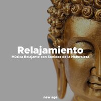Entre dos tierras - Daily Stress Release Class & Waiting Room Academy & Waiting Room Academy & Daily Stress Release Class