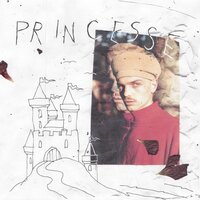 Survivant - Princesse Daniel