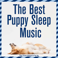 Tibetan Snow Dog - Dog Music Dreams & RelaxMyDog & Dog Music Therapy