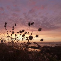Relaxing Ocean Sound - Calm Sea Sounds & Relaxmusic & Nature Sea Sound & Chillout Ambient