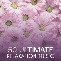 Buddhist Mind Meditation - Odyssey for Relax Music Universe
