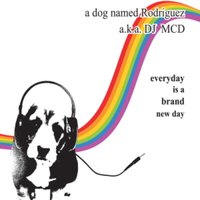 Every Day Is a Brand New Day - MCD