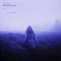 impression - Leadwave