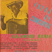 Coqueta - Alejandro Durán
