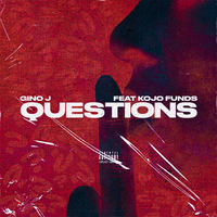 Questions - Gino J & Kojo Funds