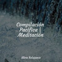 Estado De Calma - Sonidos De La Naturaleza & Musica relajante & Canciones Para Niños