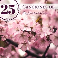 Chant Relajación - Flor de Loto