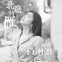 北飞的雁 - 菲儿
