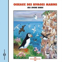 Yelkouan Shearwater - Frémeaux Nature & Yelkouan Shearwater & Puffin Mediterranéen