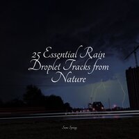 Tweeting Birds - Deep Sleep Music Delta Binaural 432 Hz & It's Raining & Natural Sample Makers